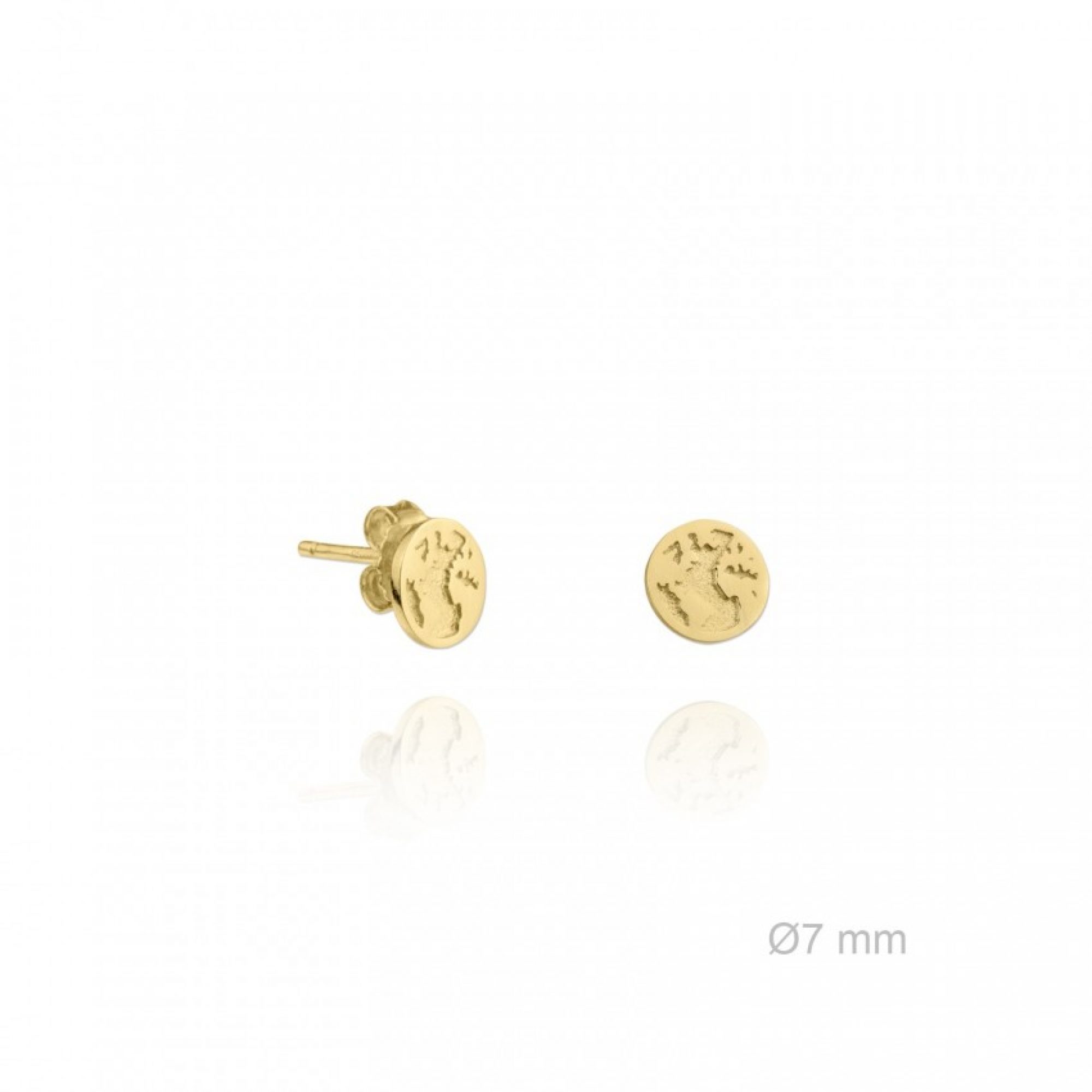 Gold plated earrings with the world map