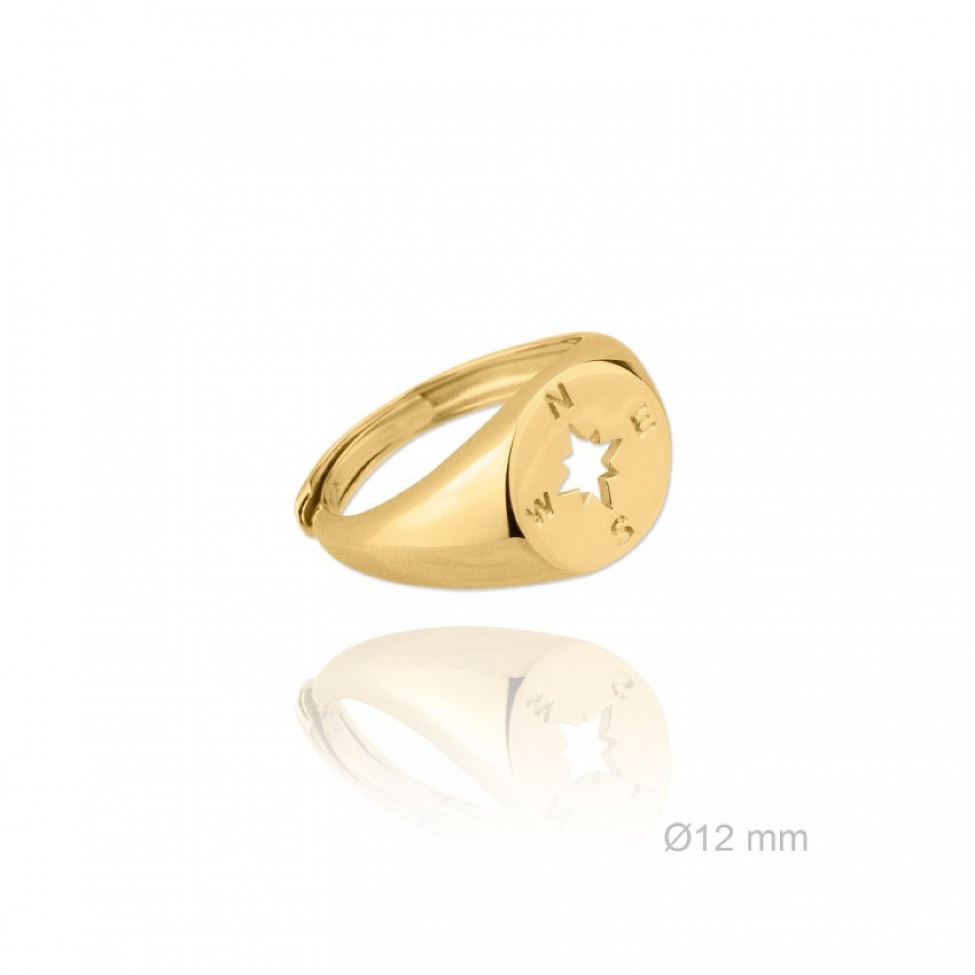 Gold plated compass ring