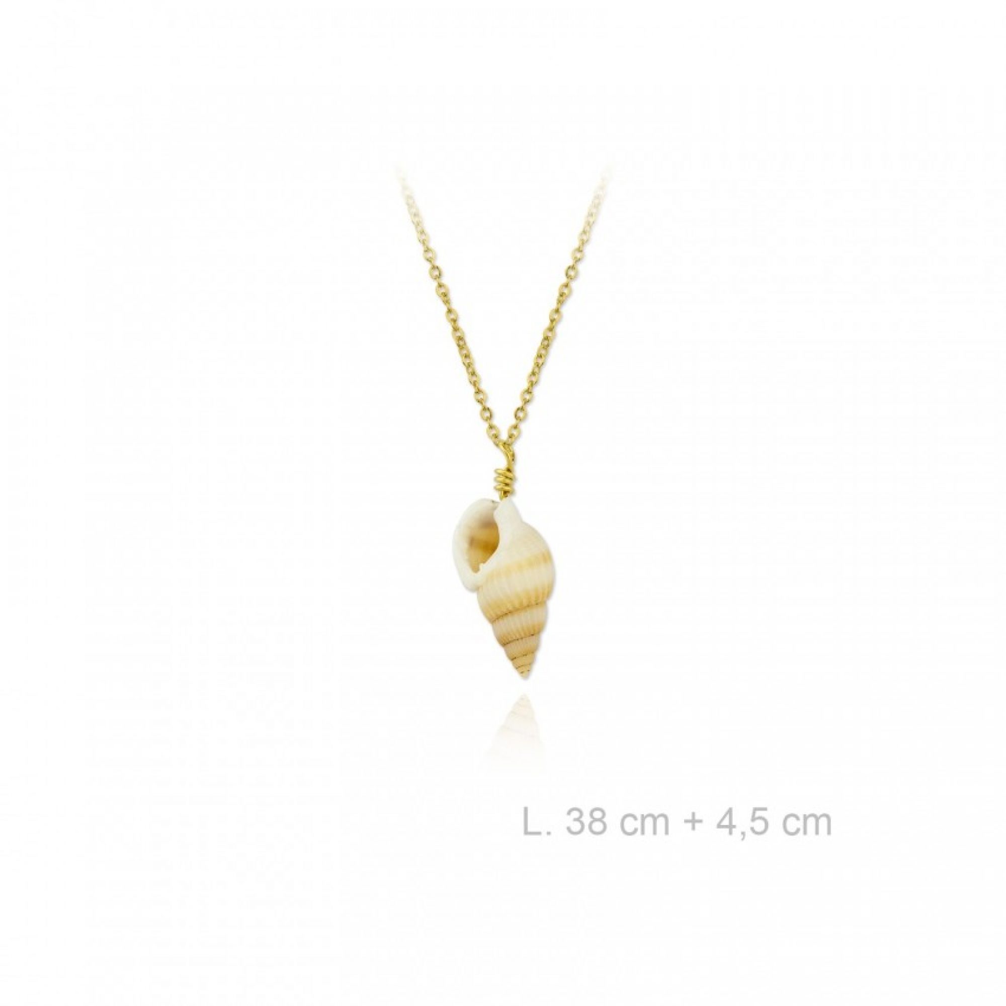Gold plated necklace with seashell 