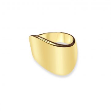 petsios Gold-Tone Polished Stainless Steel Ring