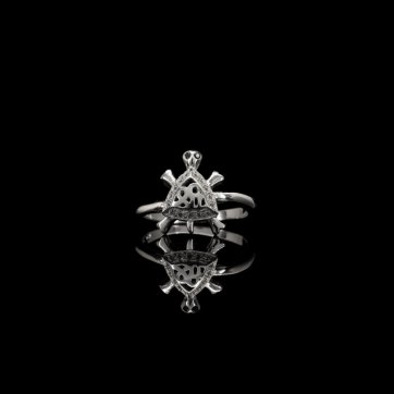 petsios Δαχτυλίδι χελώνα με ζιργκόν πέτρες